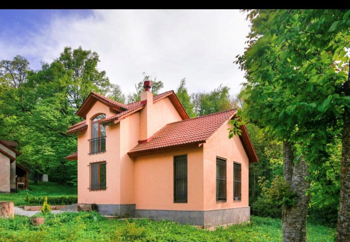 Dilijan Dream House! 3 Bedroom Amazing Villa In National Park! Extérieur photo